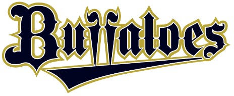 オリックス・バファローズ